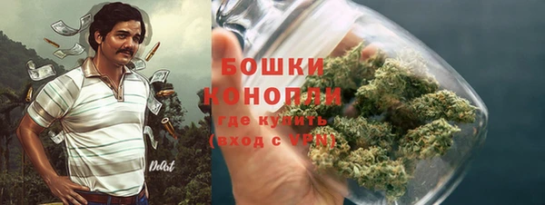 соль ск Осинники